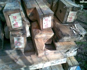 koodit koodit